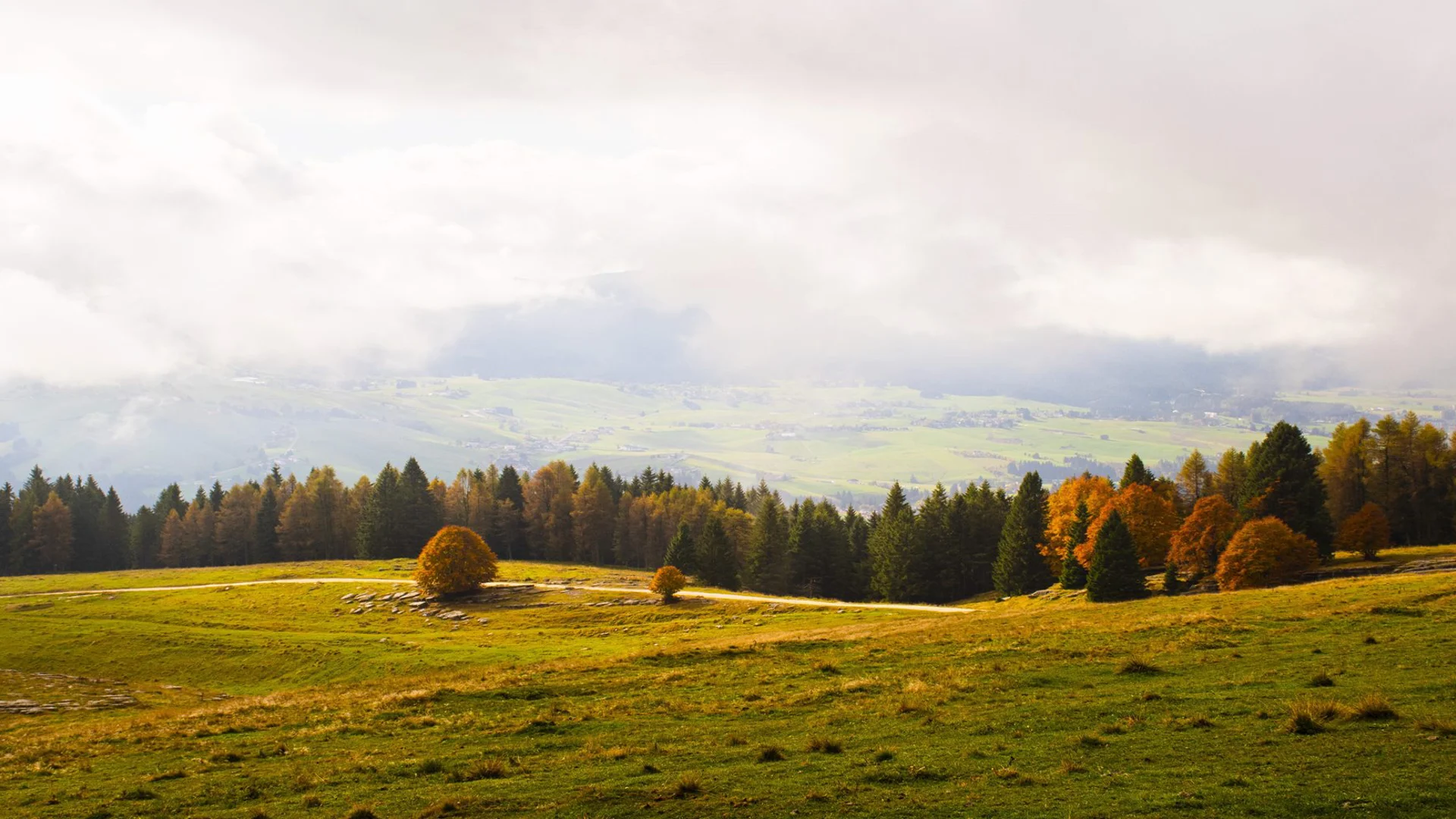 Regulatory disclosure