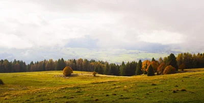 Regulatory disclosure